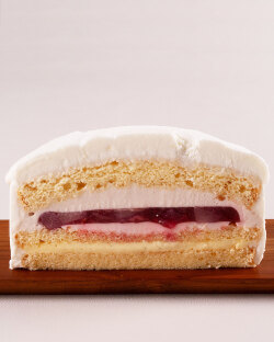 シャンティカマクラ断面