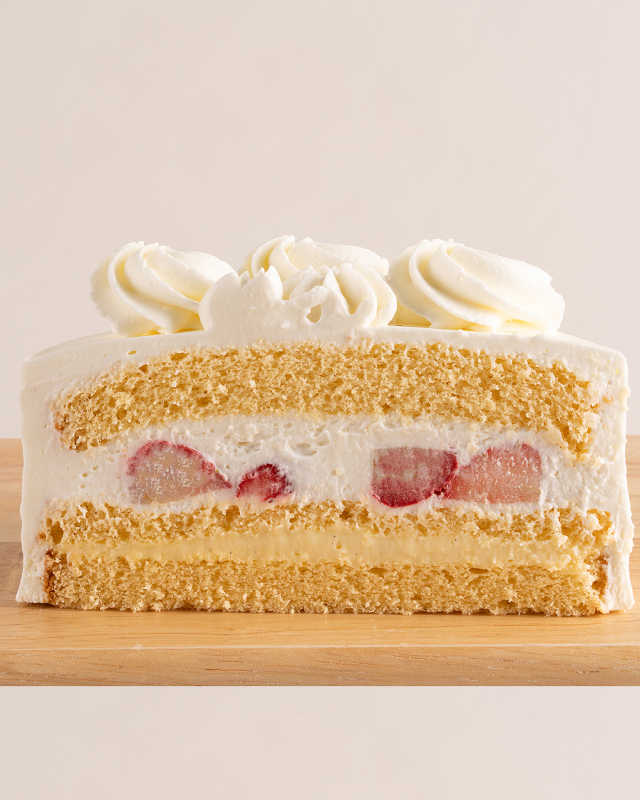 シャンティ断面